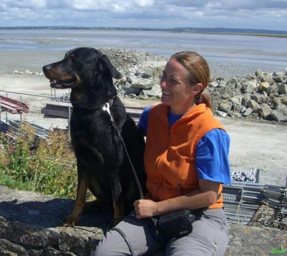 Ferien mit Hund in der Bretagne